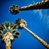 Illustration formation en logiciels libres